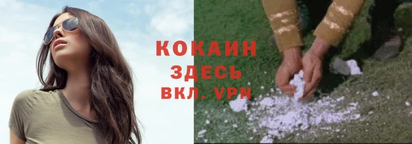 сатива Армянск