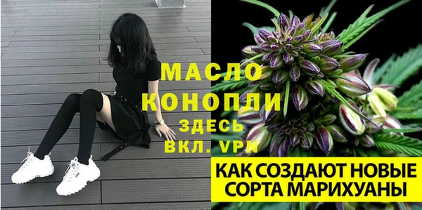 трава Аркадак