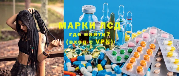 шишки Пестово