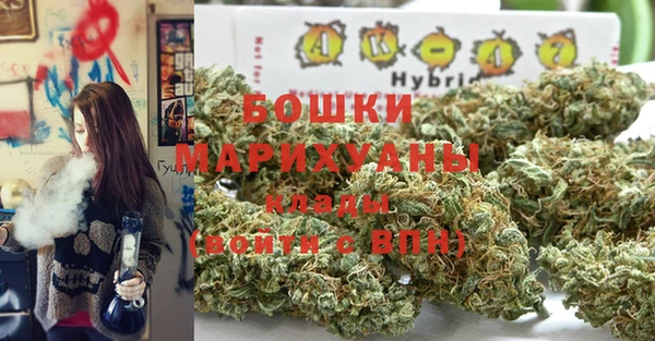винт Арсеньев