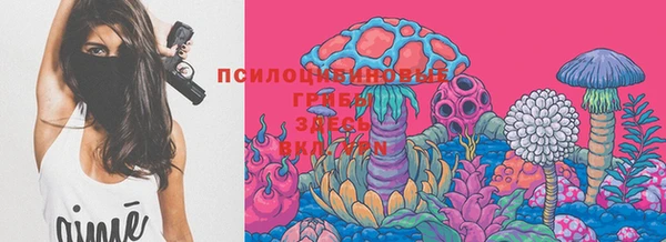 винт Арсеньев