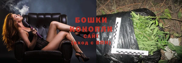 сатива Армянск